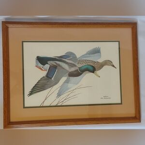 Vintage Wm. Zimmerman Framed Mallards in Flight Print EUC